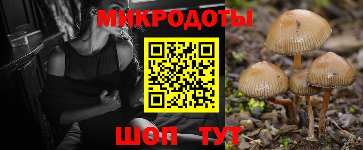 Пятигорск  Псилоцибиновые грибы прущие грибы  Вход с VPN 